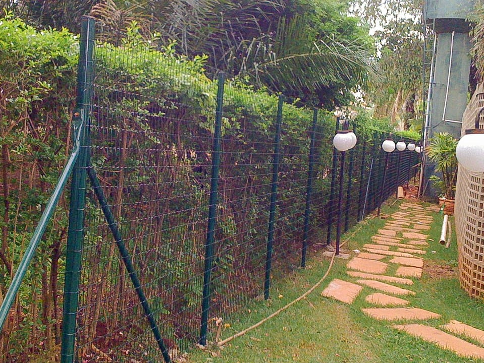 WhatsApp Image 2021-01-26 at 08.56.11.jpeg